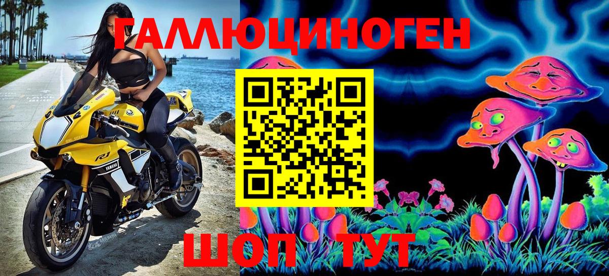 Псилоцибиновые грибы Psilocybe  Вход с VPN  Новотроицк 